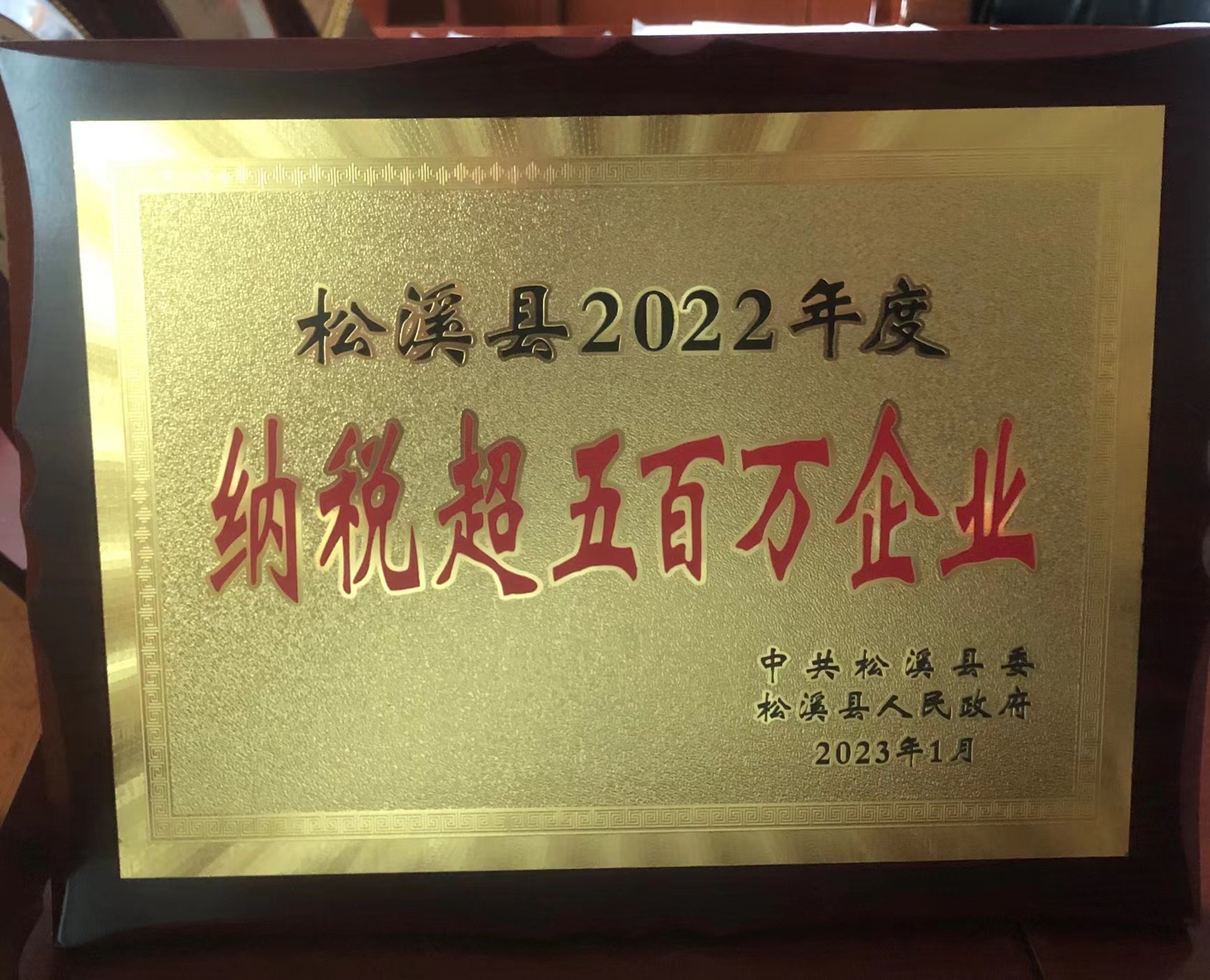 喜報(bào)！易順建工集團(tuán)喜獲“松溪縣2022年度納稅超五百萬企業(yè)”榮譽(yù)