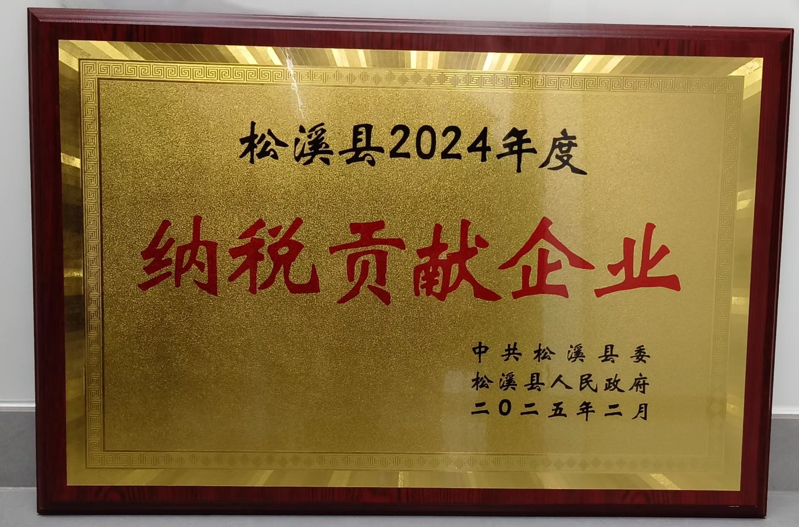 喜報！易順建工集團(tuán)榮獲“松溪縣2024年度納稅貢獻(xiàn)企業(yè)”稱號